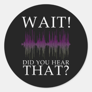 Paranormal Investigator Funny Ghost Hunting 1 Classic Round Sticker