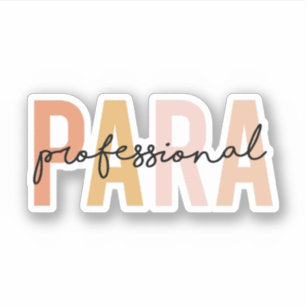 Paraprofessional Gift, Para Teacher Gift