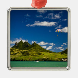 Parasailing within View of impressive Lion Metal Tree Decoration
