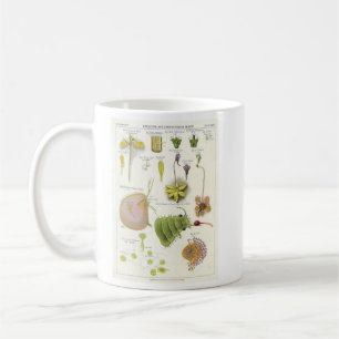 Parasitic & Carnivorous Plants Coffee Mug