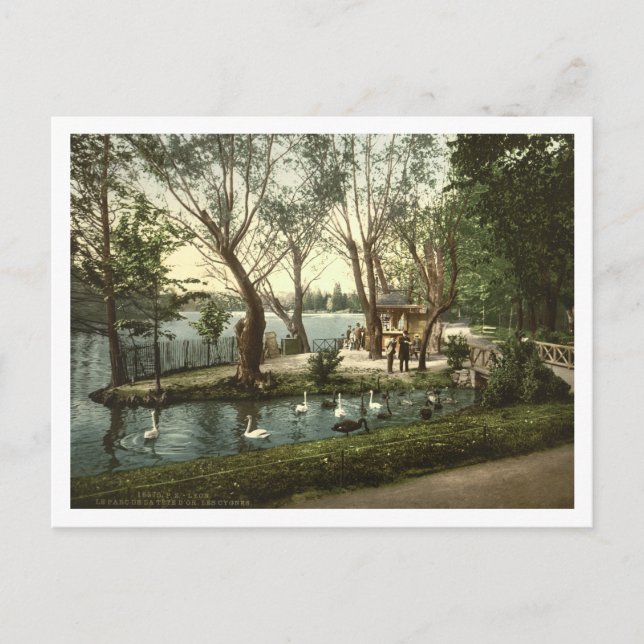 Parc de la Tête d'Or, Lyon, France Postcard (Front)