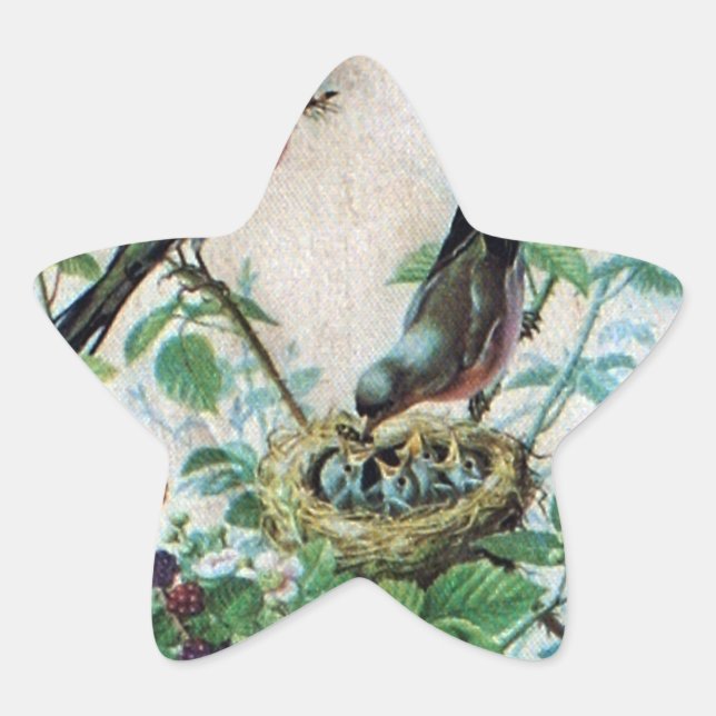 Parched Parents, Precious Chicks: A Nature's Story Star Sticker (Front)