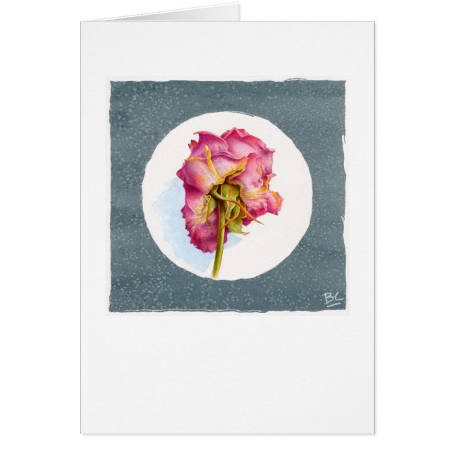 PARCHED WRINKLED ROSE (Front)