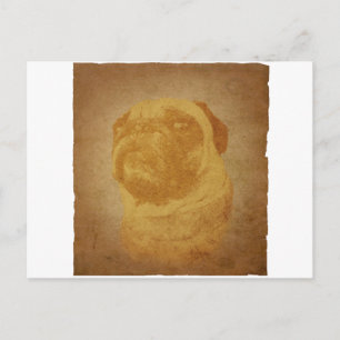 Parchment Pug Postcard