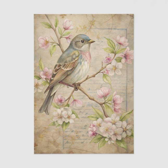 Parchment with Bird on Branch with Pink Blossoms Tissue Paper (Front)