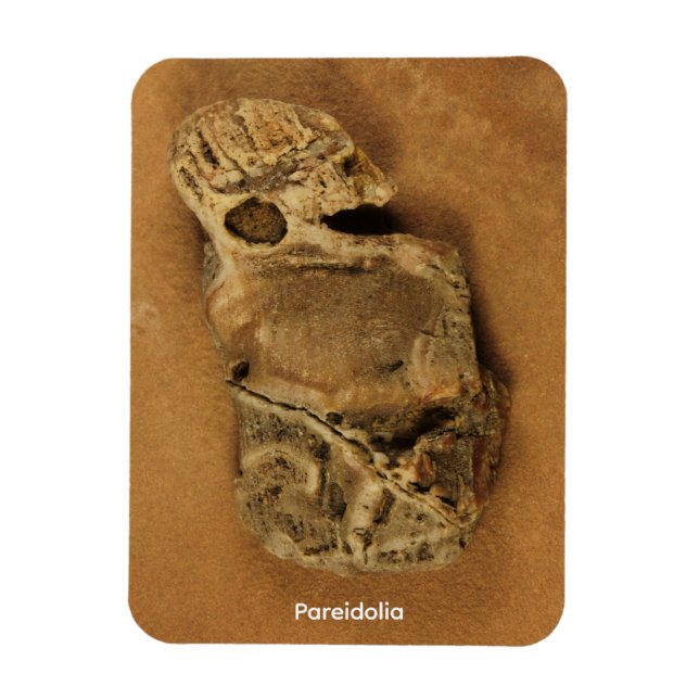 Pareidolia Magnet (Vertical)