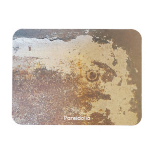 Pareidolia Magnet