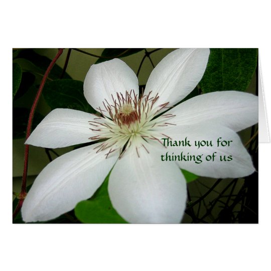 Parent/family sympathy card
