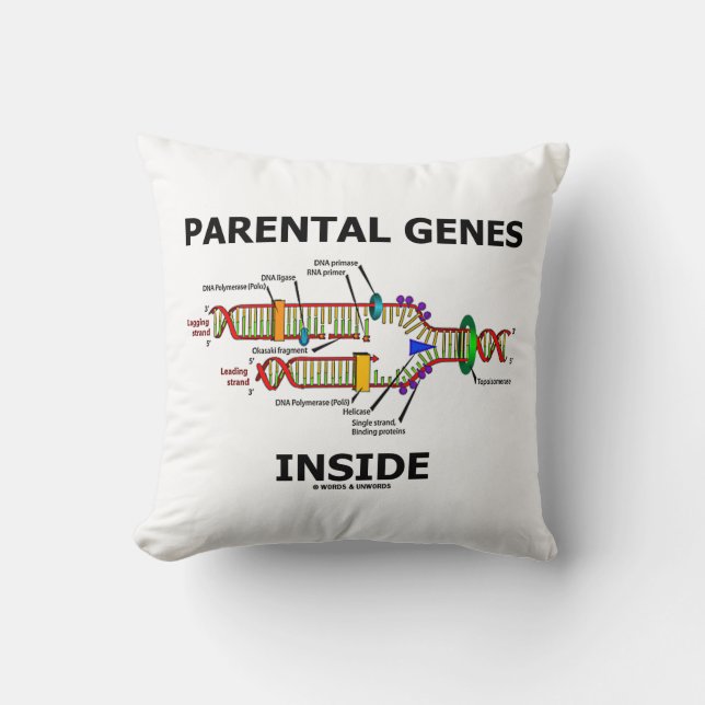 Parental Genes Inside DNA Replication Cushion (Front)