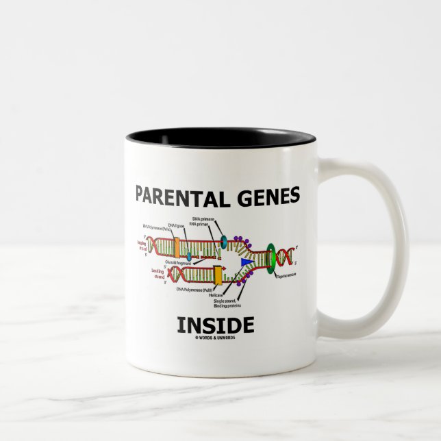 Parental Genes Inside (DNA Replication) Two-Tone Coffee Mug (Right)
