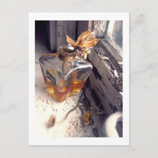 parfum postcard