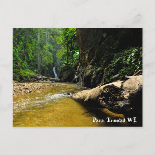 Paria River and Waterfall, Trinidad W.I. Postcard