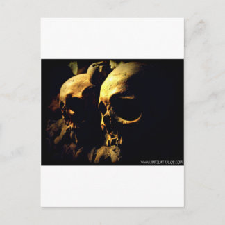 Paris Catacombs by April A Taylor Postcard