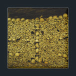Paris Catacombs Skulls and Bones Magnet<br><div class="desc">Paris Catacombs Skulls and Bones</div>