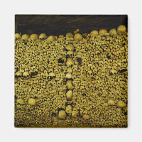 Paris Catacombs Skulls and Bones