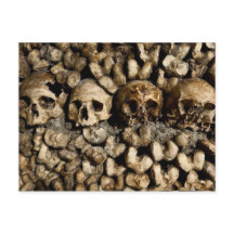 Paris Catacombs Skulls and Bones Postcard