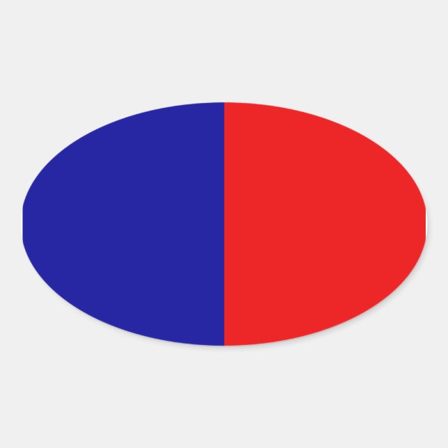 Paris Flag Oval Sticker (Front)