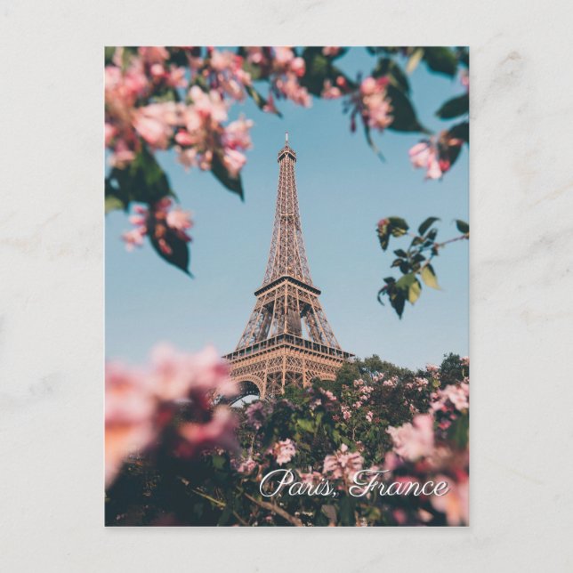 Paris France Eiffel Tower flowers travel postcard (Front)