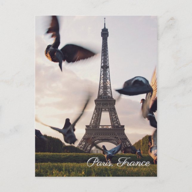 Paris France Eiffel Tower travel postcard (Front)