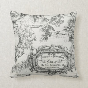 Paris France Floral Cushion