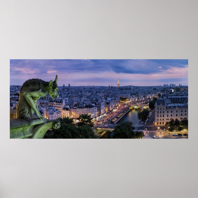 Paris France Gargoyle Poster (Front)