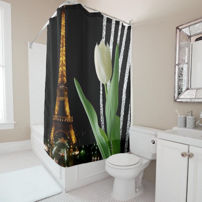 Paris France Shower Curtain (In Situ)