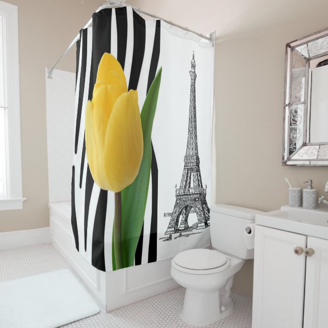 Paris France Shower Curtain (In Situ)