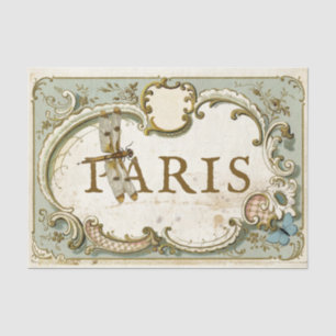 Paris French Vintage Frame Dragonfly Butterfly  Tissue Paper