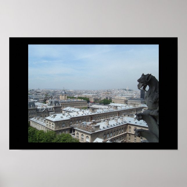 Paris from Notre Dame Poster (Front)