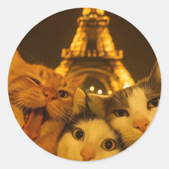 Paris Night Cat Selfie Squad Lover                 Classic Round Sticker (Front)