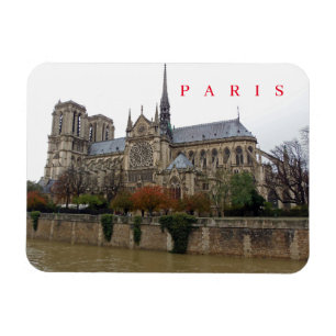 Paris Notre Dame Cathedral side view fridge magnet