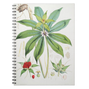 Paris Polyphylla Smith Flower Floral Notebook