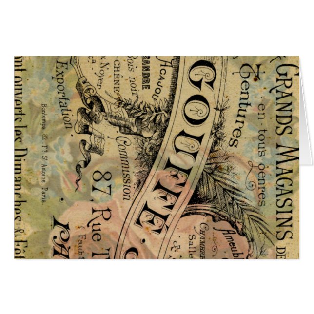 Paris Rose (Front Horizontal)