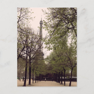 Paris through the trees postcard