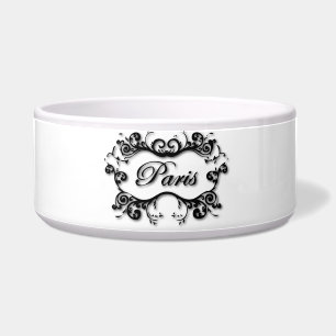Paris with Scrolls
