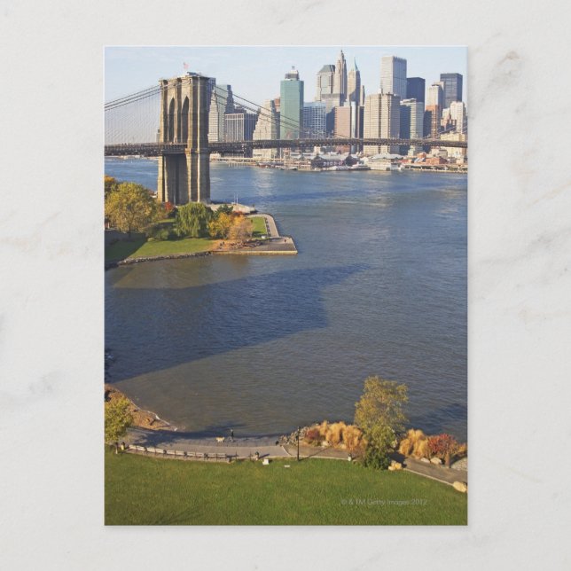 Park and Cityscape Postcard (Front)