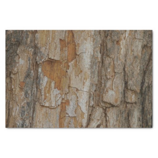 Image of Park Bark Tissue Paper