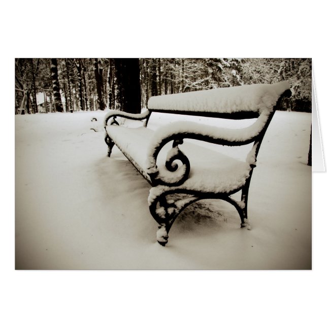 Park bench (Front Horizontal)