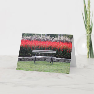 Park Bench 9779 Card