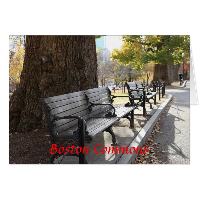 Park Bench, Boston Commons, Massachusetts (Front Horizontal)