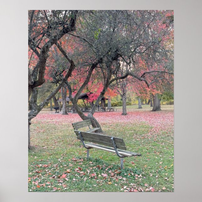 Park Bench in Autumn Poster (Front)