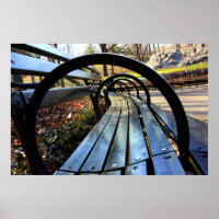 Park Bench in Central Park, NYC