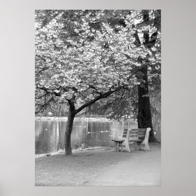 Park Bench Poster (Front)