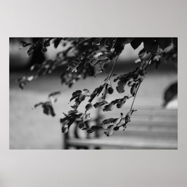 Park Bench Poster (Front)