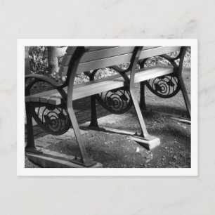 Park Bench with Ginkgo Design: Tokyo Postcard