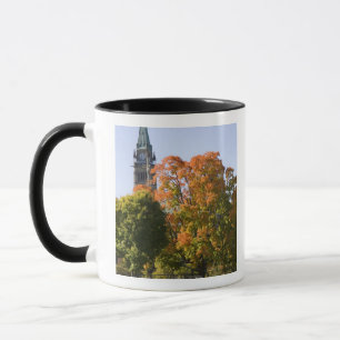 Park beside the Parliment Building in Ottawa, Mug