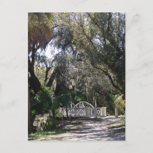 Park Bridge Postcard (Front)