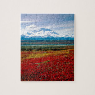 Park Brilliant Colours Of Denali Alaska Jigsaw Puzzle