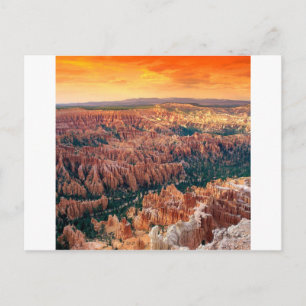 Park Bryce Canyon Utah Postcard