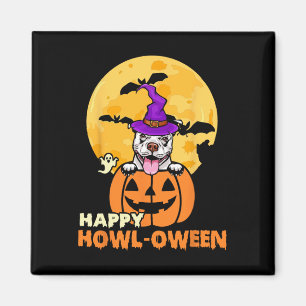 Park City Usa Ski Resort Rocky Mountains American  Magnet